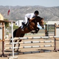 Poni Club