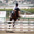 Poni Club