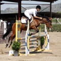 Poni Club