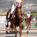 Poni Club