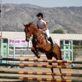 Poni Club