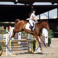 Poni Club