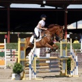 Poni Club