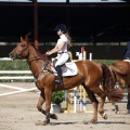 Poni Club