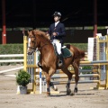 Poni Club