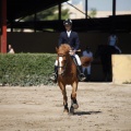 Poni Club