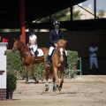 Poni Club