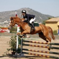 Poni Club