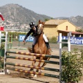 Poni Club