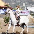 Poni Club