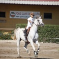 Poni Club
