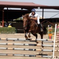 Poni Club