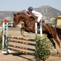 Poni Club