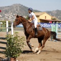 Poni Club