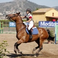 Poni Club
