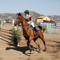 Poni Club