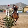 Poni Club