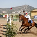 Poni Club