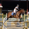 Poni Club