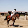 Poni Club