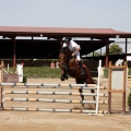 Poni Club