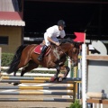 Poni Club