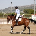 Poni Club