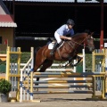 Poni Club