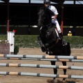 Poni Club