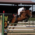Poni Club