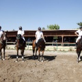 Poni Club