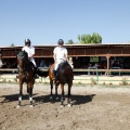 Poni Club