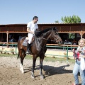 Poni Club