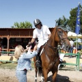 Poni Club