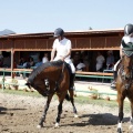 Poni Club