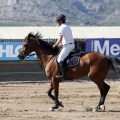 Poni Club
