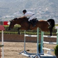 Poni Club