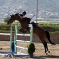 Poni Club