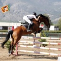 Poni Club