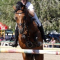 Poni Club
