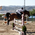 Poni Club