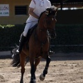 Poni Club