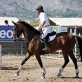 Poni Club