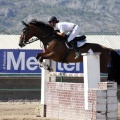 Poni Club