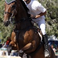Poni Club