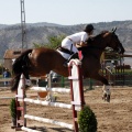 Poni Club