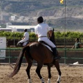 Poni Club