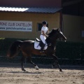Poni Club