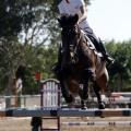 Poni Club