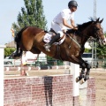 Poni Club